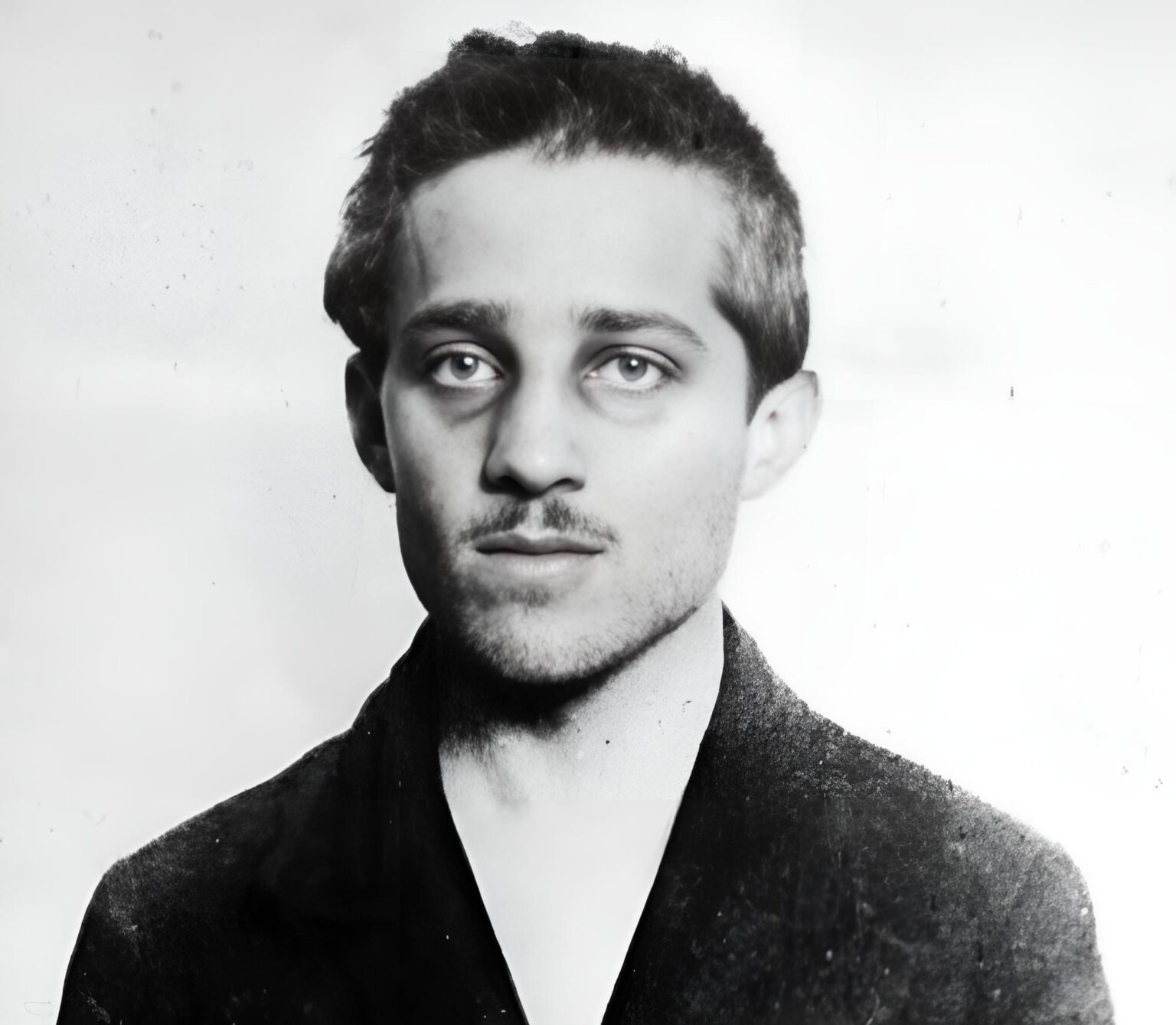 Gavrilo Princip Terrorist Or Hero History Chronicles
