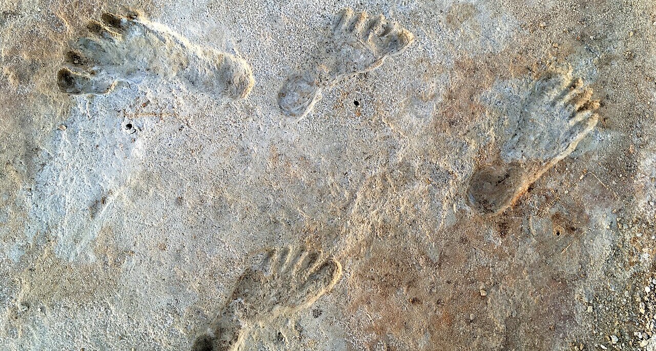 The White Sands footprints