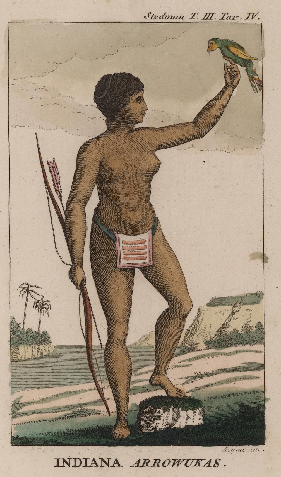 Arawak woman, by John Gabriel Stedman